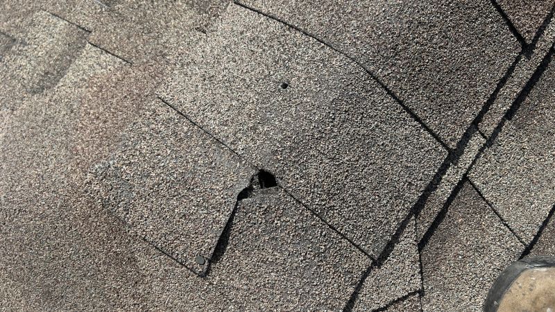 What To Expect During A Professional Asphalt Shingle Roof Repair
